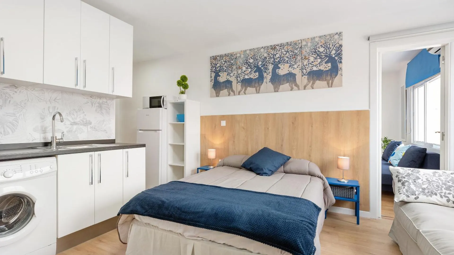 Apartment Estudio Larios 9B Malaga